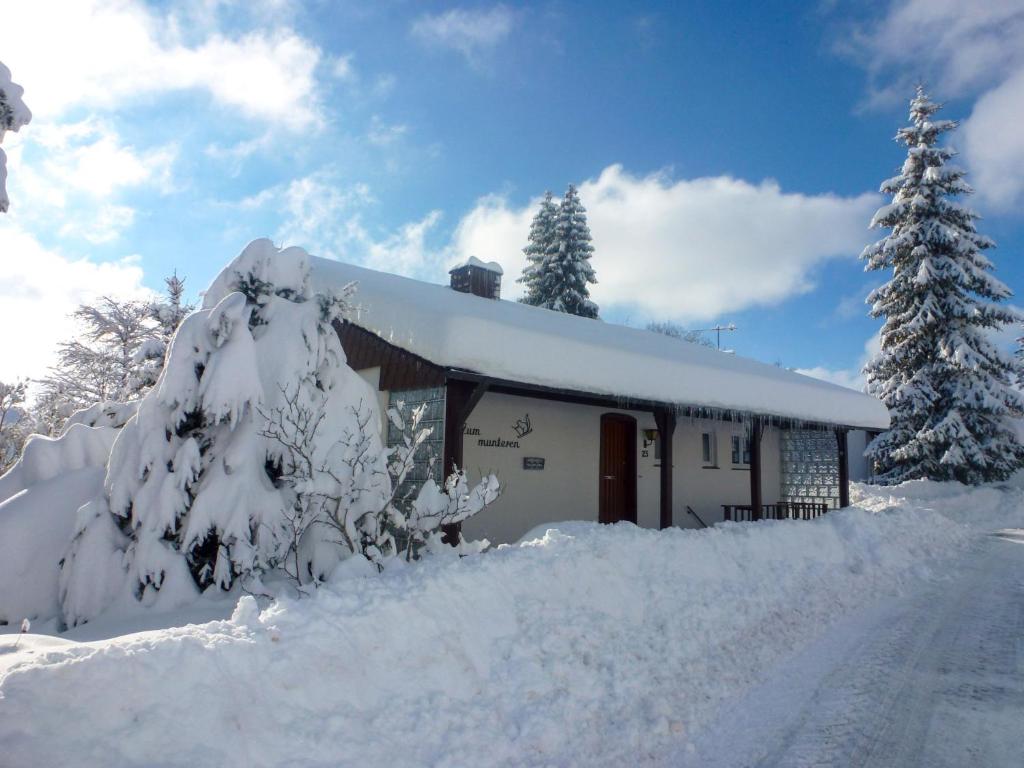 Maison de vacances Holiday Home Zum munteren Eichhörnchen  79843 Dittishausen