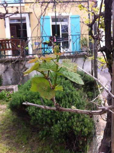 Holiday house in Valros