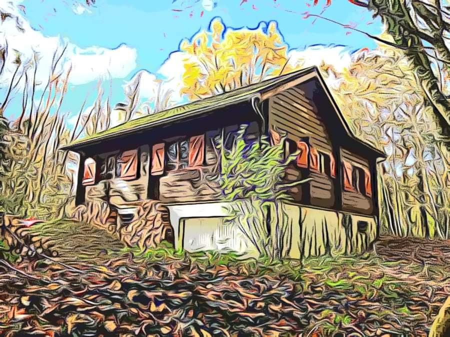 Maison de vacances Holy Wood Les Trente Arpents 10 45220 Chuelles