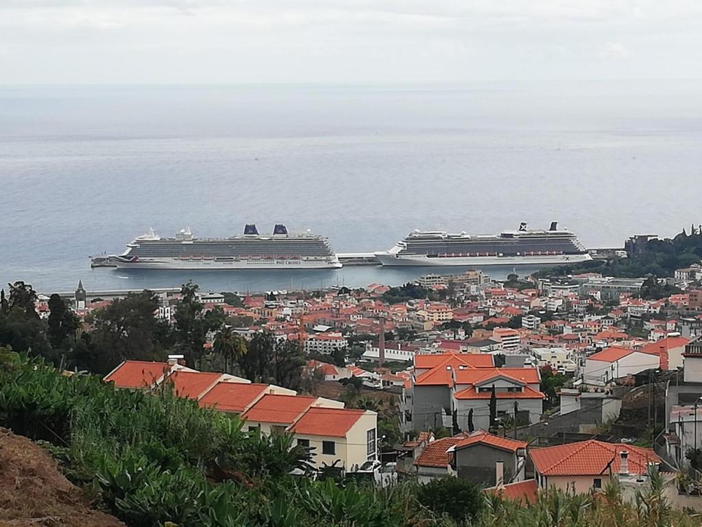 Maison de vacances House Joel & Sonia with sea view Caminho velho da piedade nº 39 9050-233 Funchal