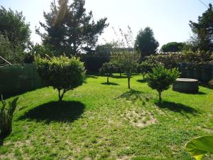 Maison de vacances House with pool CASA DA FAIA - AVEIRO (Estarreja) 28 Rua da Faia 3860-129 Avanca Région Nord