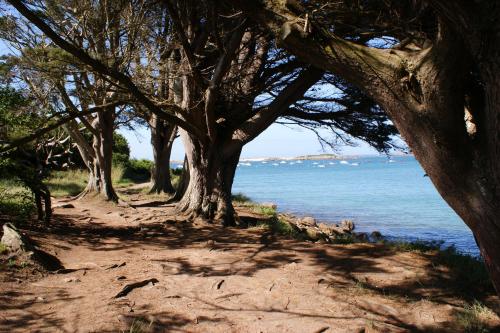Île Grande, Location maison saisonnière chez Dom et Cathy C