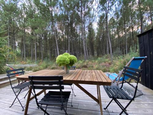 Immersion Forêt Cabane bois Lège Cap Ferret 1-4p
