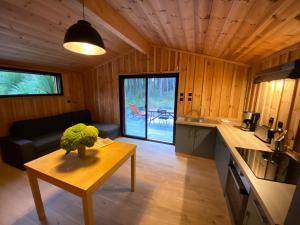 Immersion Forêt Cabane bois Lège Cap Ferret 1-4p