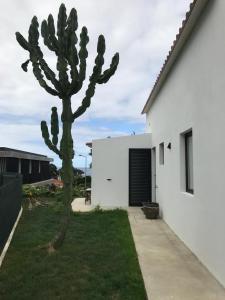 Joaninha's Beach House