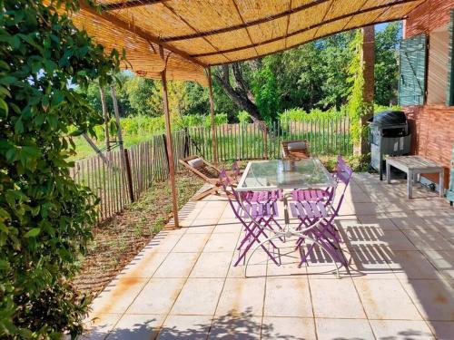 Joli cabanon en pierre au milieu des vignes