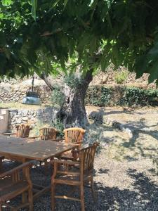 Joli Mas Chamarel provençal au milieu des vignes et oliviers