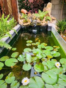 Joyeuse villa de 2 chambres avec jardin fleuri