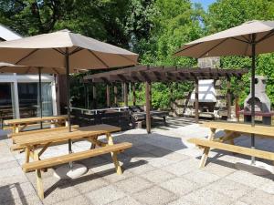 K. Homes erstes Harzhaus