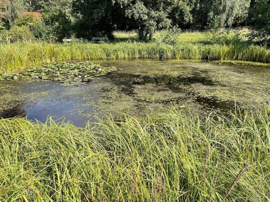 Karma Ferienhaus Fläming 24a Werbiger Dorfstraße, 14806 Bad Belzig