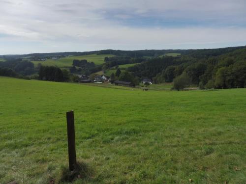 Kleine Villa im wilden Garten