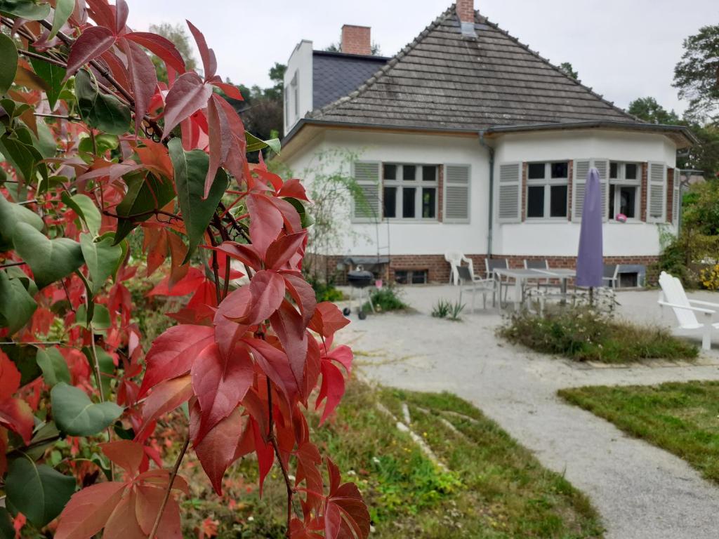 Maison de vacances Kleines Landhaus am Wald Bad Saarow 7 Jägerstraße 15526 Bad Saarow