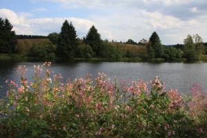 Kurpark Domizil
