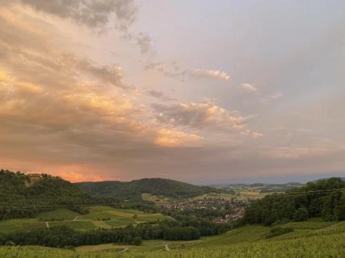 L'Alambic à Martial, au coeur du vignoble Jurassien