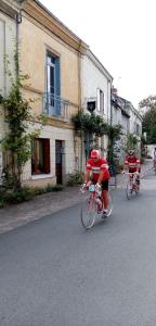 L'arbrissel