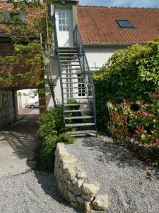 L'atelier les hortensias