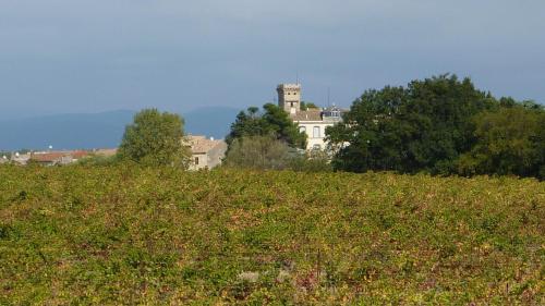 l'Ecrit Vin