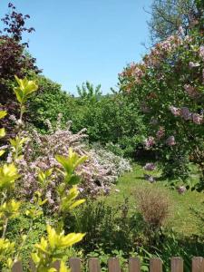 L'escale Arquaise, la maison au jardin fleuri à 5 min de dieppe