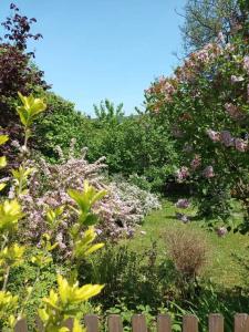 Maison de vacances L'escale Arquaise, la maison au jardin fleuri à 5 min de dieppe 57 Rue de la Libération 76880 Arques-la-Bataille Normandie