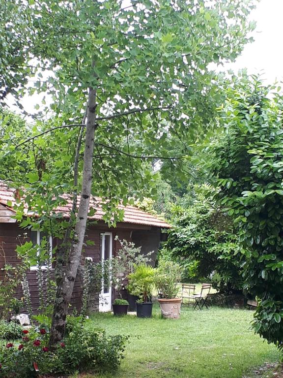L’escale côté jardin 18 Rue Georges Mandel, 33112 Saint-Laurent-de-Médoc
