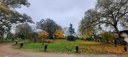 L'été près de la Loire - Gîte dans le parc d'une maison ancienne