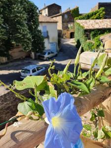 L'Exquishette de Lourmarin, un nid sur les toits.