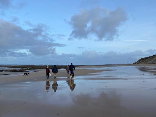 L'oasis des Tamaris