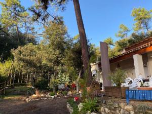 L'oasis des Tamaris