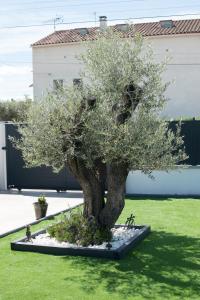 L'Olivier, Villa climatisée, piscine et parking