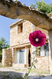 Maison de vacances L'Oustaou des Monges Route de Mérindol, Quartier le Pielard 26170 Mollans-sur-Ouvèze Rhône-Alpes