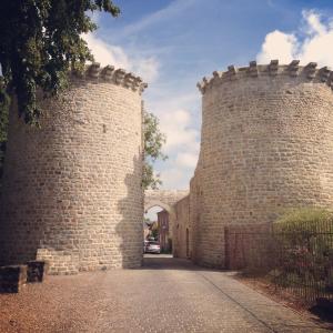La Bassurelle