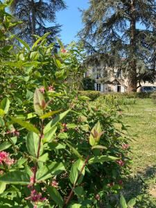 La bastide de Mary