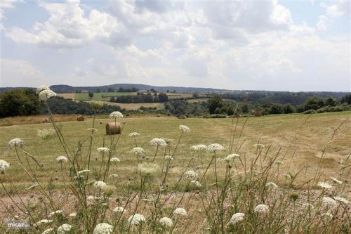 La Belle Vue