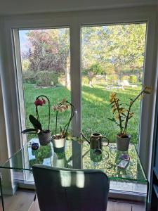Maison de vacances La Belleza - Maison de vacances avec jardin arboré 3 Rue des Marronniers 89150 Montacher Bourgogne