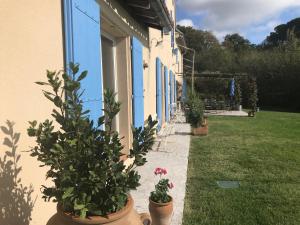 La Calvetié