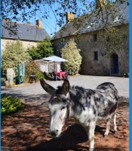 La campagne Bretonne