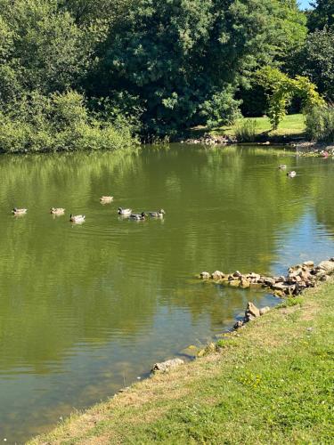 La Fermette Aux Canards