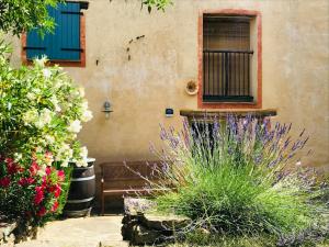 Maison de vacances La gargouille des corbières Cuve à vin habitable 14 Rue du Porche 11220 Villetritouls Languedoc-Roussillon