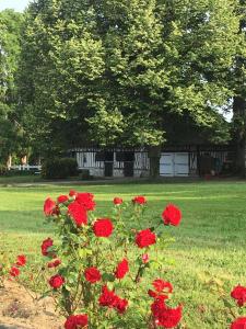La Gloriette gîte situé Dans La propriété Dun magnifique manoir