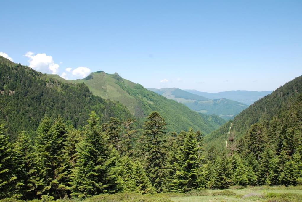 La Grange de l'Ours Coume de Vengue, 09800 Saint-Lary