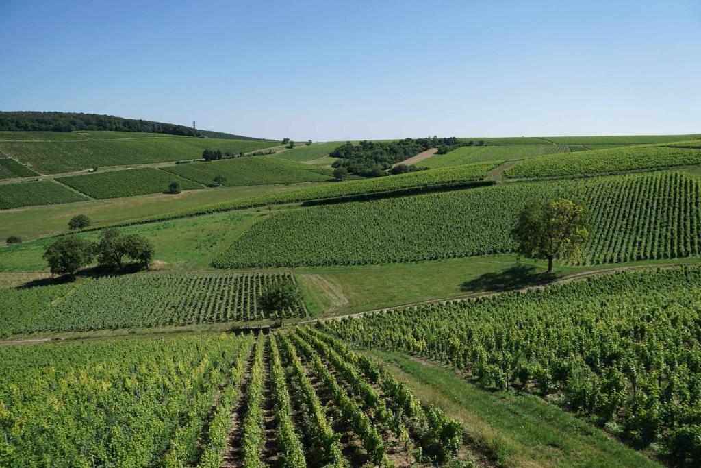 La Haute Rebiere Holiday Cottage