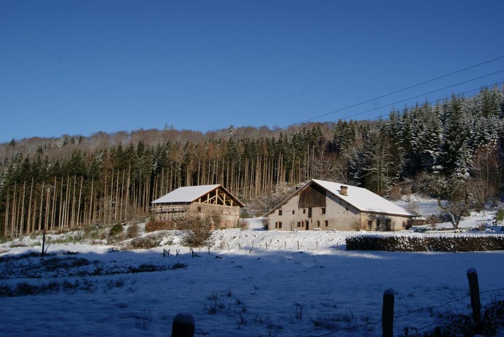 Maison de vacances La Hutte 15 Chemin du Faing Janel 88460 Tendon