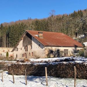 Maison de vacances La Hutte 15 Chemin du Faing Janel 88460 Tendon Lorraine