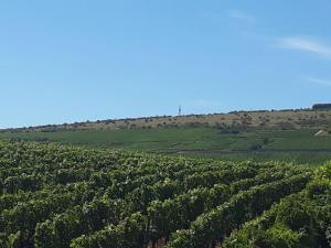 La Layotte