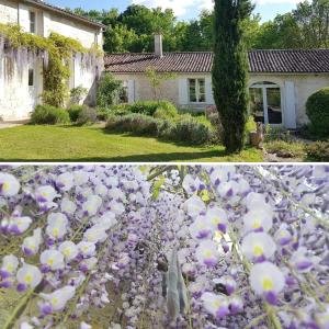 La Loge du Grand Cèdre, gîte de charme