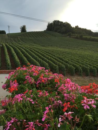 La Loge Du Vigneron