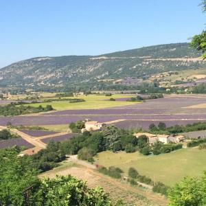 Maison de vacances LA MAISON D’ALICE la Maison d Alice Rue Porte Sainte-Anne 84390 Sault Provence-Alpes-Côte d\'Azur