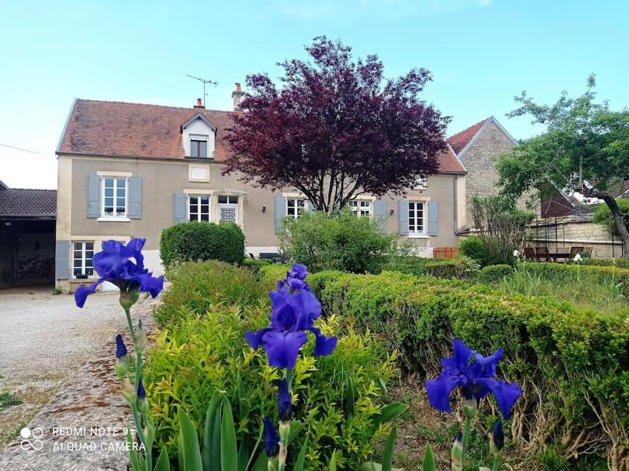 La Maison de Jules et Adèle 9 Petite Rue Petite Rue, 89160 Ancy-le-Libre