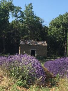 la maison de l'olivier