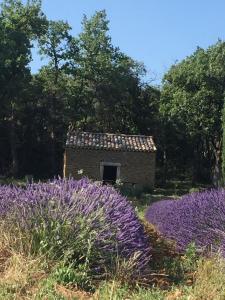 Maison de vacances la maison de l'olivier CHEMIN DU FIGUIER 26230 Grignan Rhône-Alpes